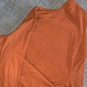 Turtle neck long sleeve thick dress